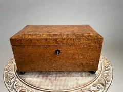 19th Century English Regency Burl Wood Veneer Box with Ebonized Ball Feet