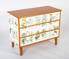 Swedish Chest with Applied Botanical Lithographs in the Manner of Josef Frank