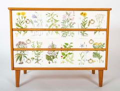 Swedish Chest with Applied Botanical Lithographs in the Manner of Josef Frank