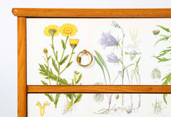 Swedish Chest with Applied Botanical Lithographs in the Manner of Josef Frank