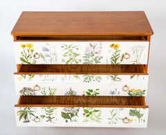 Swedish Chest with Applied Botanical Lithographs in the Manner of Josef Frank