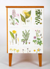 Swedish Chest with Applied Botanical Lithographs in the Manner of Josef Frank