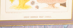 Set of 5 Chromolithographs of The Great Barrier Reef by W. Saville-Kent