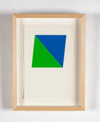 A Set of 10 Lithographs in Color by Ellsworth Kelly