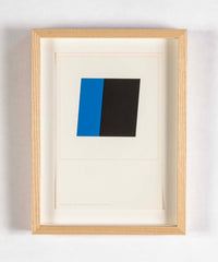 A Set of 10 Lithographs in Color by Ellsworth Kelly