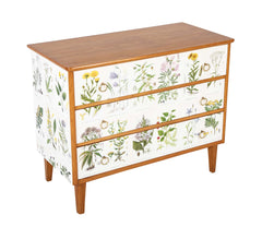 Swedish Chest with Applied Botanical Lithographs in the Manner of Josef Frank