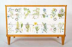 Swedish Chest with Applied Botanical Lithographs in the Manner of Josef Frank