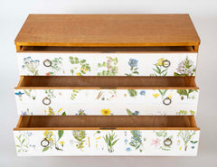 Swedish Chest with Applied Botanical Lithographs in the Manner of Josef Frank