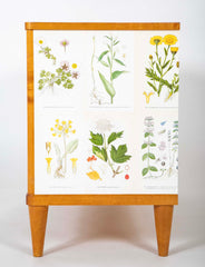 Swedish Chest with Applied Botanical Lithographs in the Manner of Josef Frank