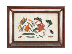 Chinese Pith Paintings of Flowers & Butterflies in Silver Gilt Mirror Frames