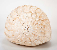 Giant Wood Carved Painted Seashell