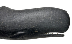 Carved Sperm Whale By David B. Ward