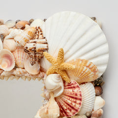 Mirror with Seashell Encrusted Frame