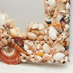 Mirror with Seashell Encrusted Frame