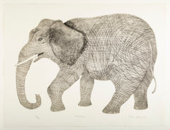 "Elephant" a Lithograph by Karen Usborne