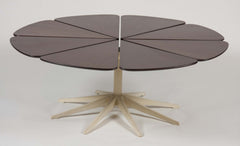 Richard Schultz Redwood Petal Coffee Table by Knoll