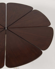 Richard Schultz Redwood Petal Coffee Table by Knoll