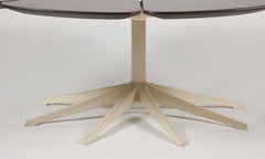 Richard Schultz Redwood Petal Coffee Table by Knoll