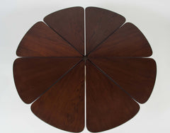 Richard Schultz Redwood Petal Coffee Table by Knoll